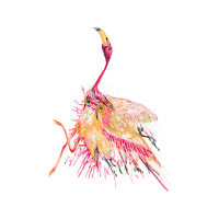 Illustration Animals