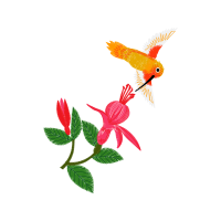 Illustration Animals