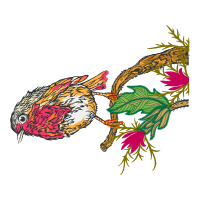 Illustration Animals