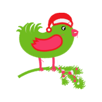 Illustration Animals