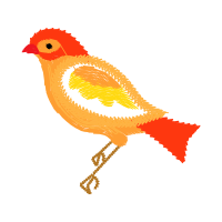 Illustration Animals Illustration Animals