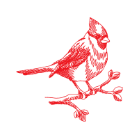 Illustration Animals