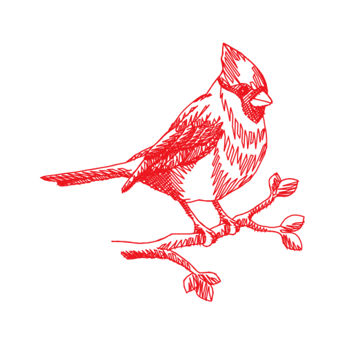 Illustration Animals Illustration Animals