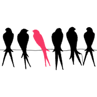 Illustration Animals Illustration Animals