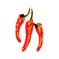 Illustration Animals Illustration Animals