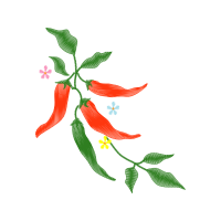 Illustration Animals Illustration Animals