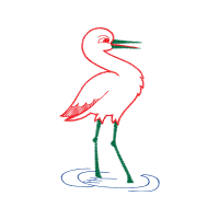 Illustration Animals Illustration Animals