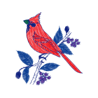 Illustration Animals Illustration Animals