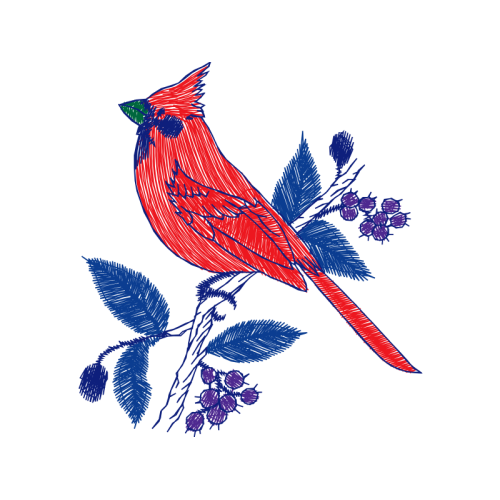 Illustration Animals Illustration Animals