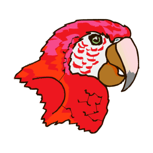 Illustration Animals Illustration Animals