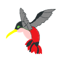 Illustration Animals Illustration Animals