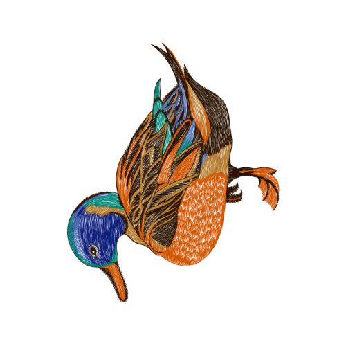 Illustration Animals Illustration Animals