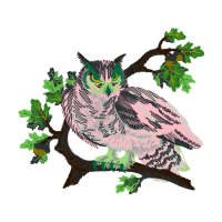 Illustration Animals Illustration Animals