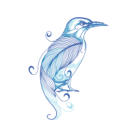 Illustration Animals Illustration Animals