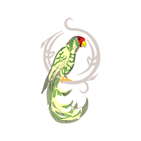 Illustration Animals Illustration Animals