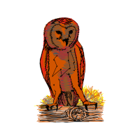 Illustration Animals