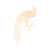 Illustration Animals Illustration Animals