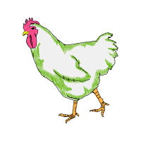 Illustration Animals