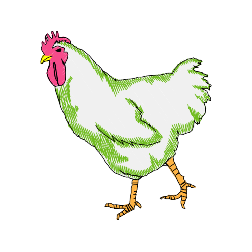 Illustration Animals Illustration Animals