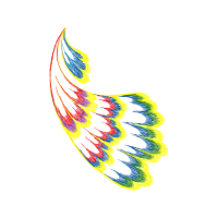 Illustration Animals