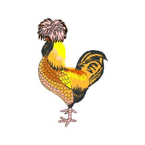 Illustration Animals Illustration Animals