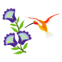 Illustration Animals