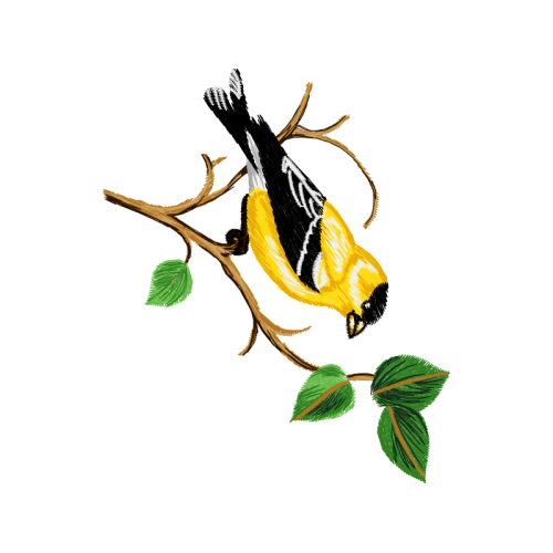 Illustration Animals Illustration Animals