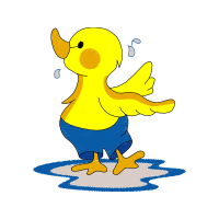 Illustration Animals