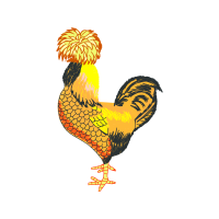 Illustration Animals Illustration Animals