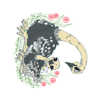 Illustration Animals