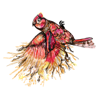 Illustration Animals