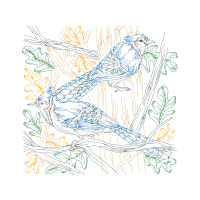 Illustration Animals