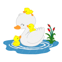 Illustration Animals Illustration Animals