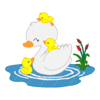 Illustration Animals Illustration Animals