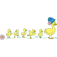 Illustration Animals