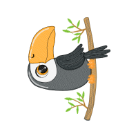 Illustration Animals