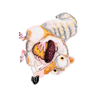 Illustration Animals