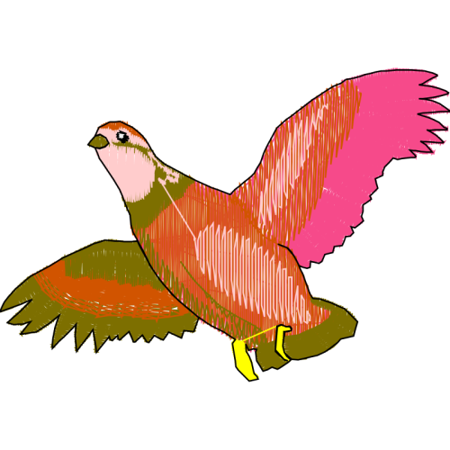 Insects Animals Insects Animals