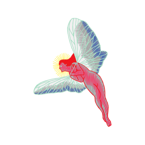 Insects Animals Insects Animals