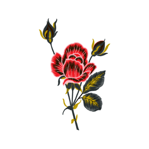 Landfowl Animals Landfowl Animals