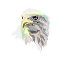 Laughing Kookaburra Animals Laughing Kookaburra Animals