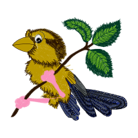 Laughing Kookaburra Animals