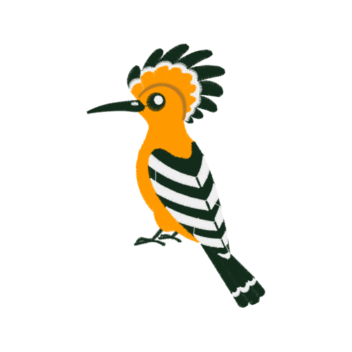 Laughing Kookaburra Animals Laughing Kookaburra Animals