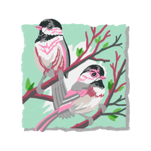 Laughing Kookaburra Animals Laughing Kookaburra Animals