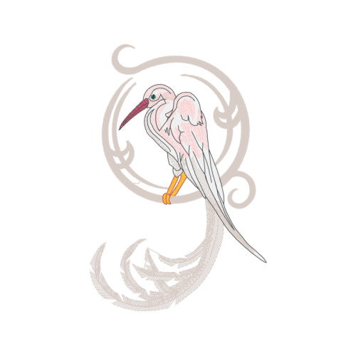 Laughing Kookaburra Animals Laughing Kookaburra Animals