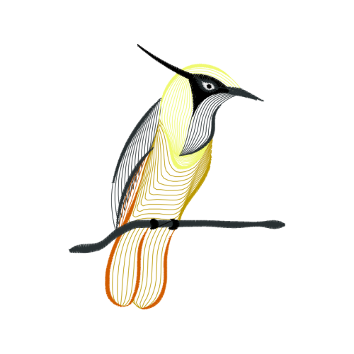 Laughing Kookaburra Animals Laughing Kookaburra Animals