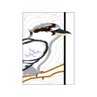 Laughing Kookaburra Animals