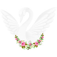 Lepidoptera Animals Lepidoptera Animals