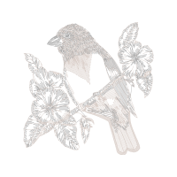 Line Art Animals Line Art Animals