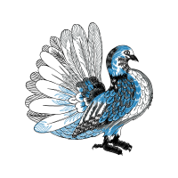 Line Art Animals Line Art Animals